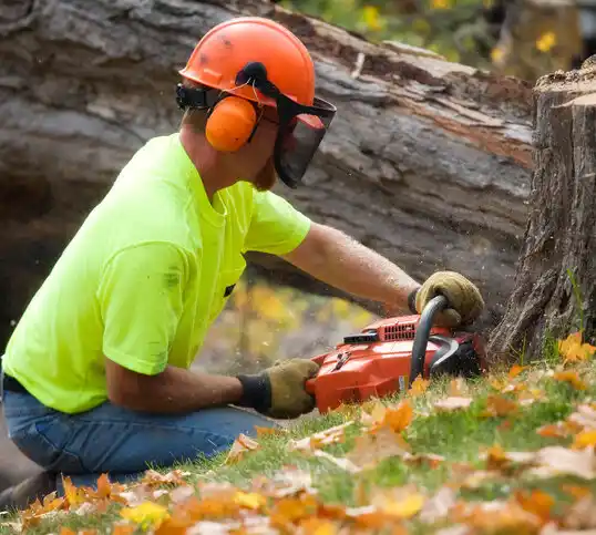 tree services Hungry Horse